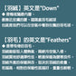 Kori Deer 可莉鹿 純色立領兒童輕量羽絨背心90%鴨絨保暖