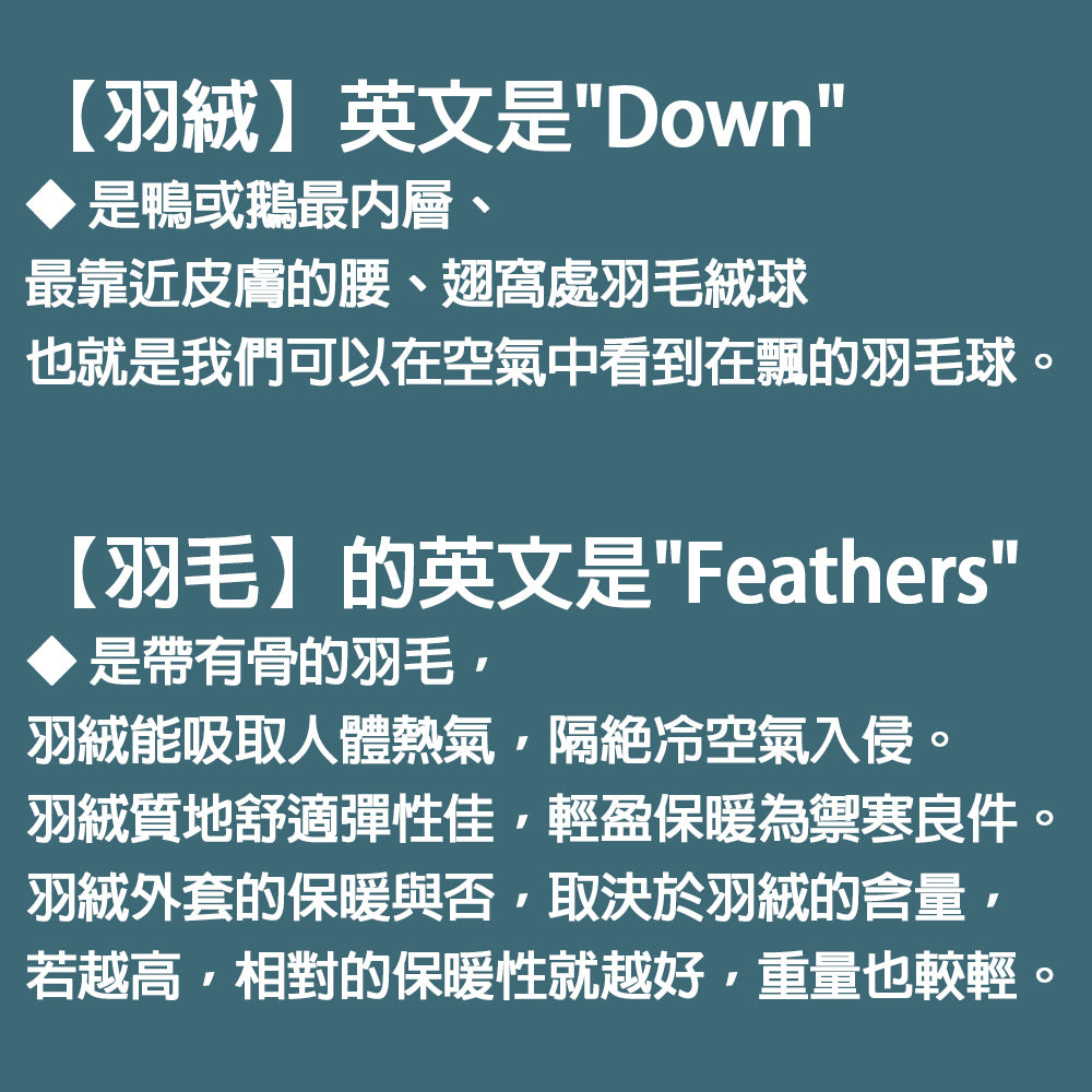 Kori Deer 可莉鹿 純色立領兒童輕量羽絨背心90%鴨絨保暖