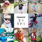 美國Hipsterkid 抗UV偏光嬰幼兒童太陽眼鏡(附固定繩)-繽紛藍綠
